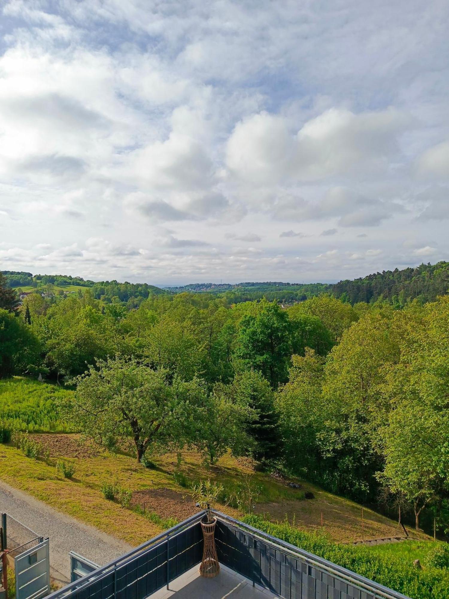 Noclegi U Ewusi 2 Januszowice  Exterior foto